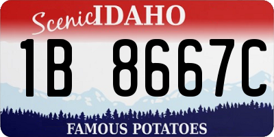 ID license plate 1B8667C