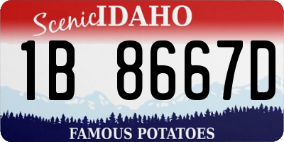 ID license plate 1B8667D