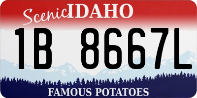 ID license plate 1B8667L