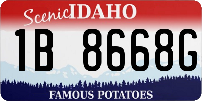 ID license plate 1B8668G
