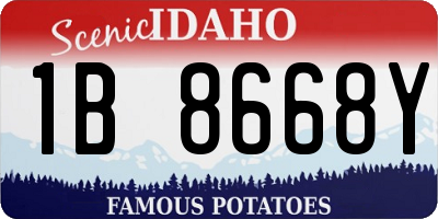 ID license plate 1B8668Y