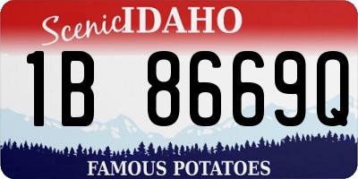 ID license plate 1B8669Q