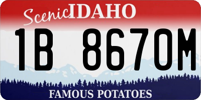 ID license plate 1B8670M
