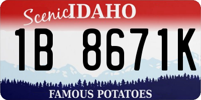 ID license plate 1B8671K