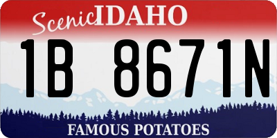 ID license plate 1B8671N