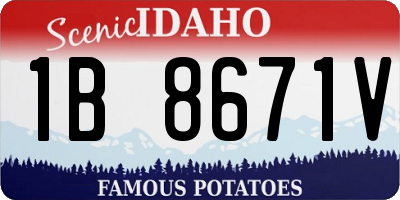 ID license plate 1B8671V