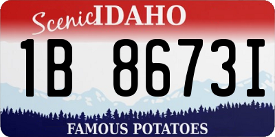 ID license plate 1B8673I