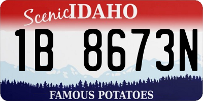 ID license plate 1B8673N
