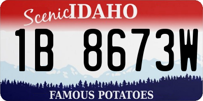 ID license plate 1B8673W