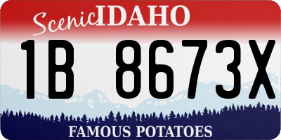ID license plate 1B8673X