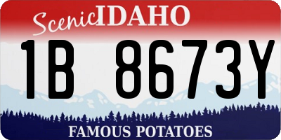 ID license plate 1B8673Y
