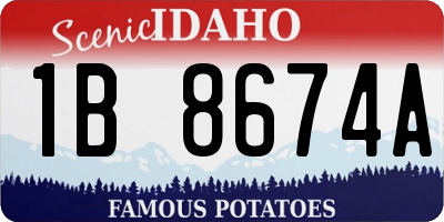 ID license plate 1B8674A