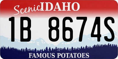 ID license plate 1B8674S