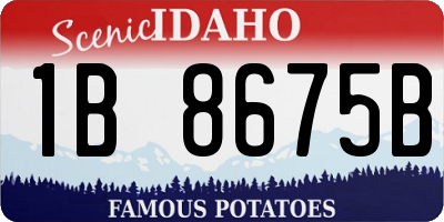 ID license plate 1B8675B