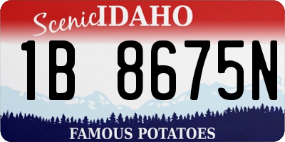 ID license plate 1B8675N