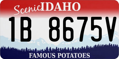 ID license plate 1B8675V