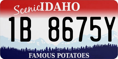 ID license plate 1B8675Y