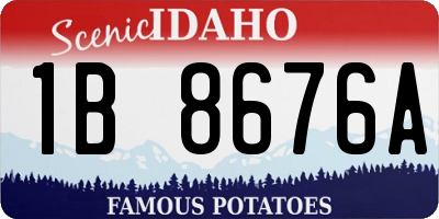 ID license plate 1B8676A