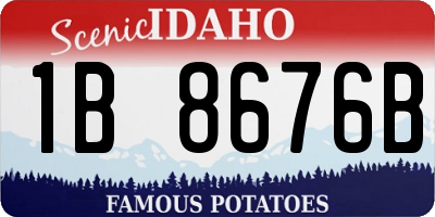 ID license plate 1B8676B