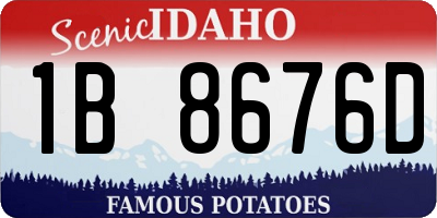 ID license plate 1B8676D