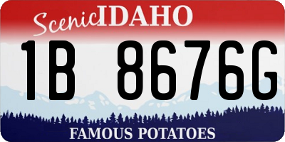 ID license plate 1B8676G