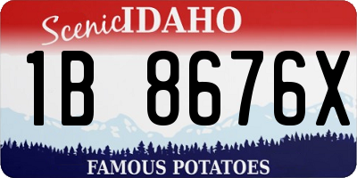 ID license plate 1B8676X