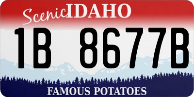 ID license plate 1B8677B