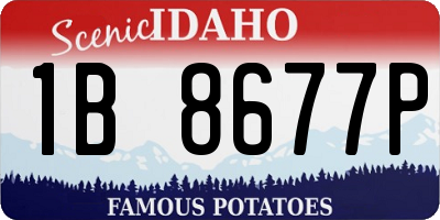 ID license plate 1B8677P