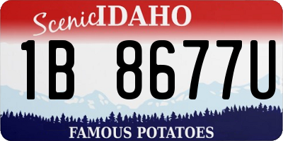 ID license plate 1B8677U