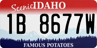 ID license plate 1B8677W