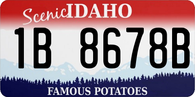 ID license plate 1B8678B