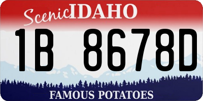 ID license plate 1B8678D