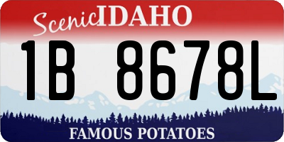 ID license plate 1B8678L