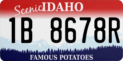ID license plate 1B8678R
