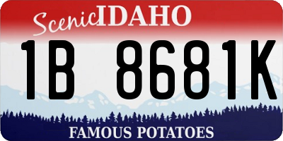 ID license plate 1B8681K