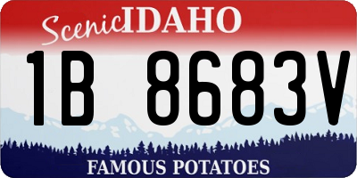 ID license plate 1B8683V