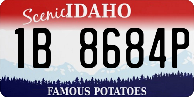 ID license plate 1B8684P