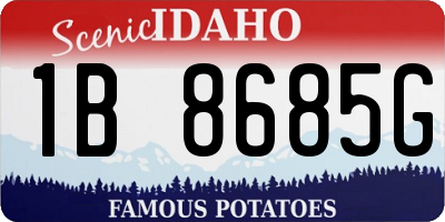 ID license plate 1B8685G