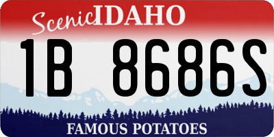 ID license plate 1B8686S