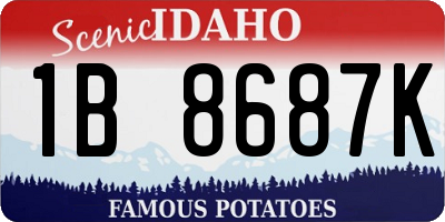 ID license plate 1B8687K