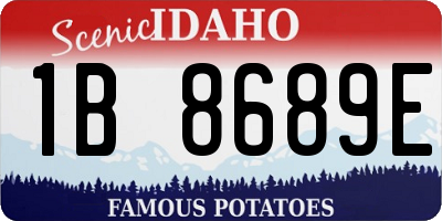 ID license plate 1B8689E