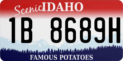 ID license plate 1B8689H
