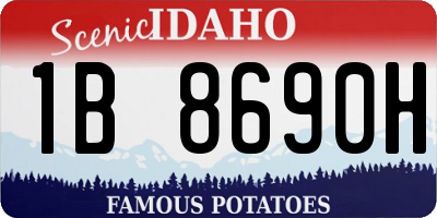 ID license plate 1B8690H