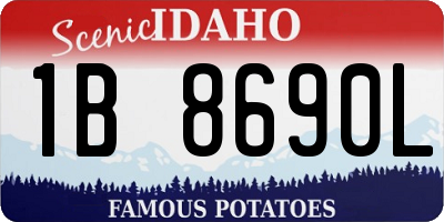 ID license plate 1B8690L