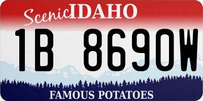 ID license plate 1B8690W