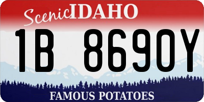 ID license plate 1B8690Y