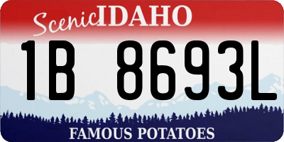 ID license plate 1B8693L