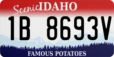 ID license plate 1B8693V