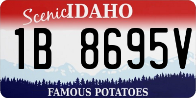 ID license plate 1B8695V
