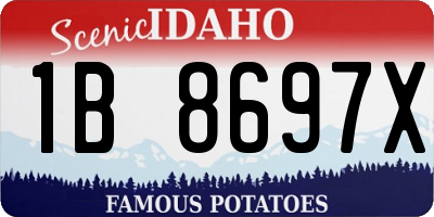 ID license plate 1B8697X